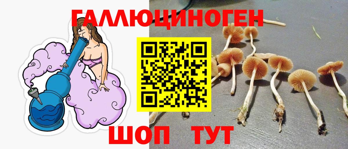 Псилоцибиновые грибы прущие грибы Куйбышев